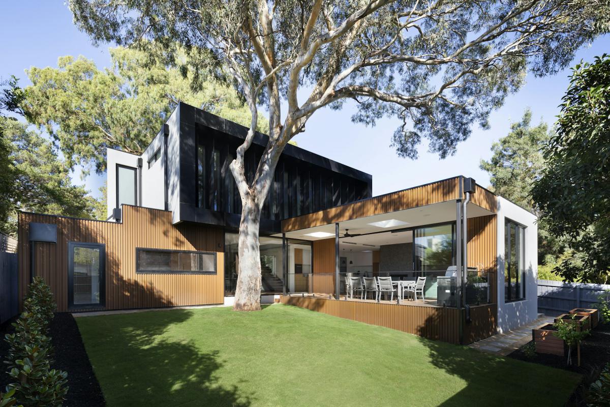 Contemporary residence with garden lawn and mature tree Contemporary residence with garden lawn and mature tree