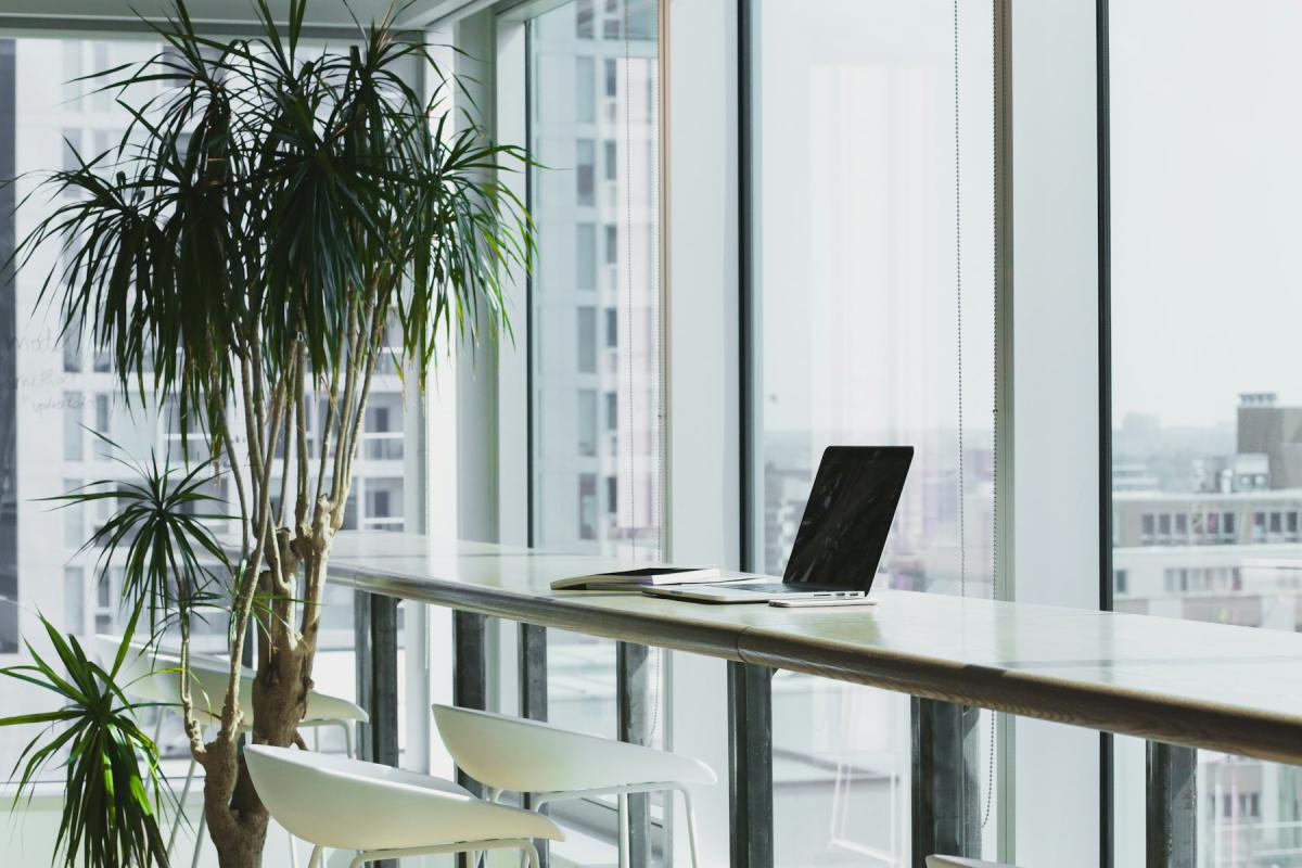 Office workspace interior with natural light and greenery Office workspace interior with natural light and greenery